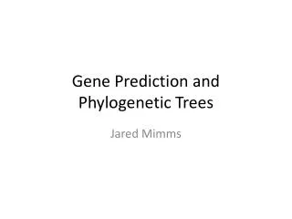 Gene Prediction and Phylogenetic Trees