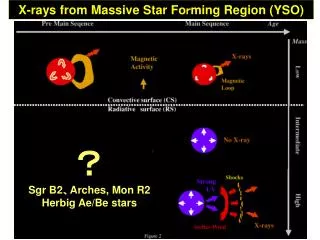 X-rays from Massive Star Fo ? ming Region (YSO)
