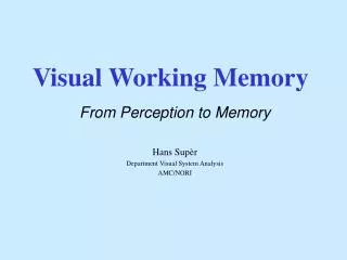 Visual Working Memory