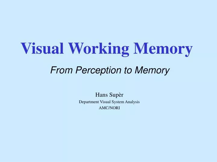 visual working memory
