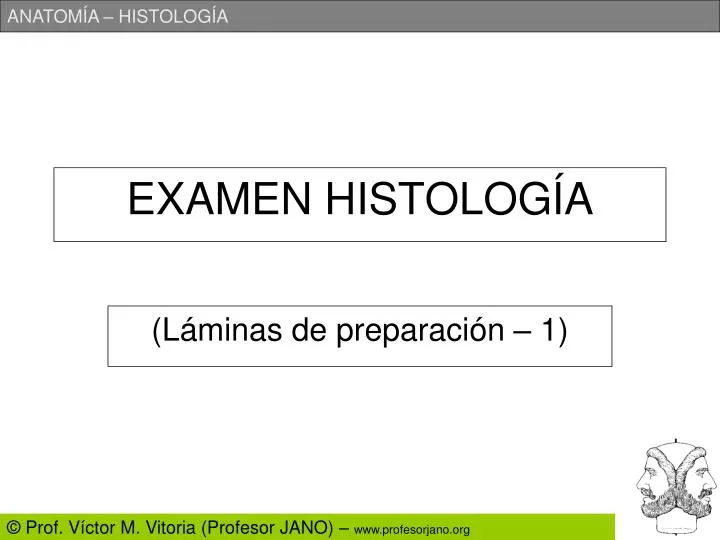 examen histolog a