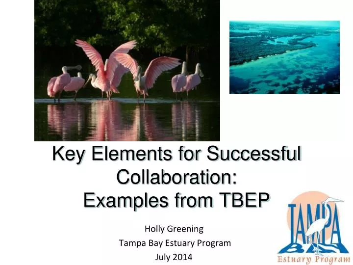 key elements for successful collaboration examples from tbep