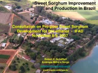Sweet Sorghum Improvement and Production in Brazil