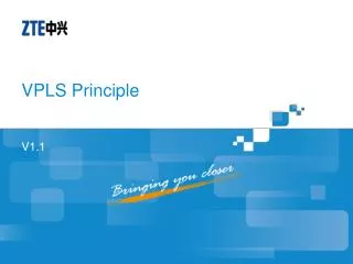 VPLS Principle