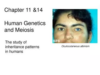 Chapter 11 &amp;14 Human Genetics and Meiosis