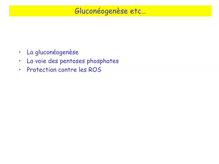 glucon ogen se etc