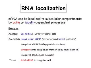 RNA localization