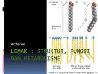 LEMAK : Struktur , Fungsi dan Metabolisme