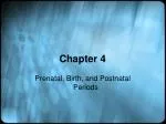 Journey of Life: From Conception to Birth and Beyond - slide 1
