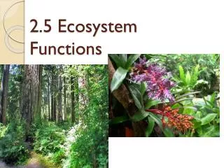 2.5 Ecosystem Functions