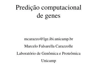 Predição computacional de genes mcarazzo@lge.ibi.unicamp.br Marcelo Falsarella Carazzolle