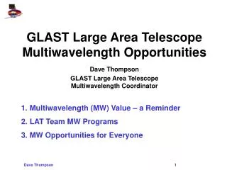 GLAST Large Area Telescope Multiwavelength Opportunities