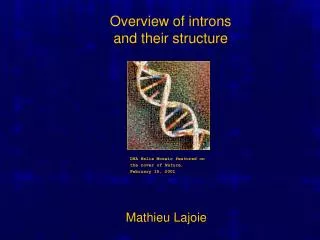 Overview of introns and their structure