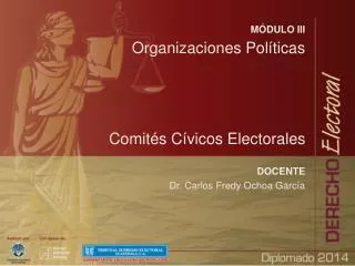 MÓDULO III Organizaciones Políticas Comités Cívicos Electorales DOCENTE