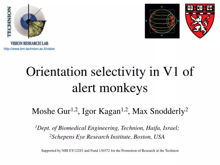 orientation selectivity in v1 of alert monkeys