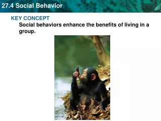 KEY CONCEPT Social behaviors enhance the benefits of living in a group.