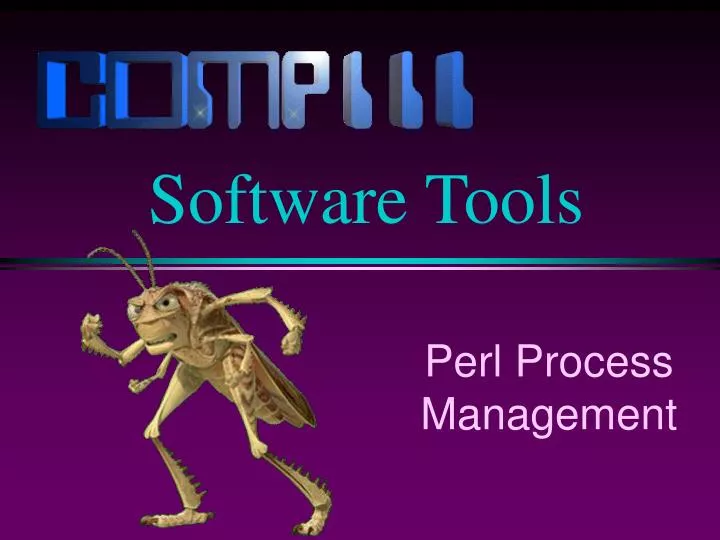 perl process management