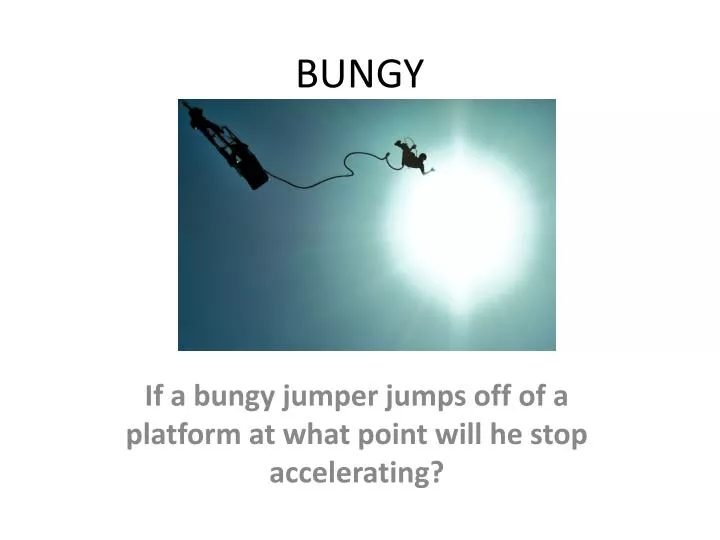 bungy