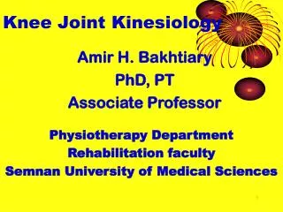 Knee Joint Kinesiology