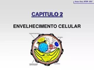 CAPITULO 2 ENVELHECIMENTO CELULAR