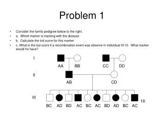 Problem 1