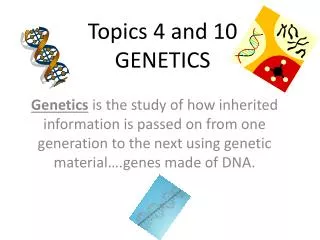 Topics 4 and 10 GENETICS