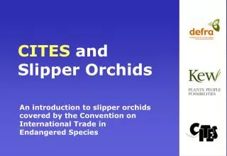 CITES and Slipper Orchids