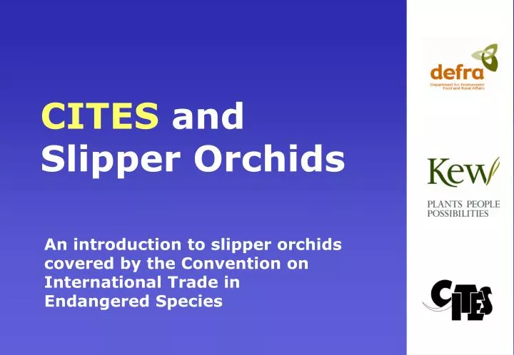cites and slipper orchids