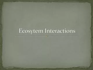 Ecosytem Interactions