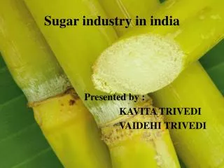 Sugar industry in india