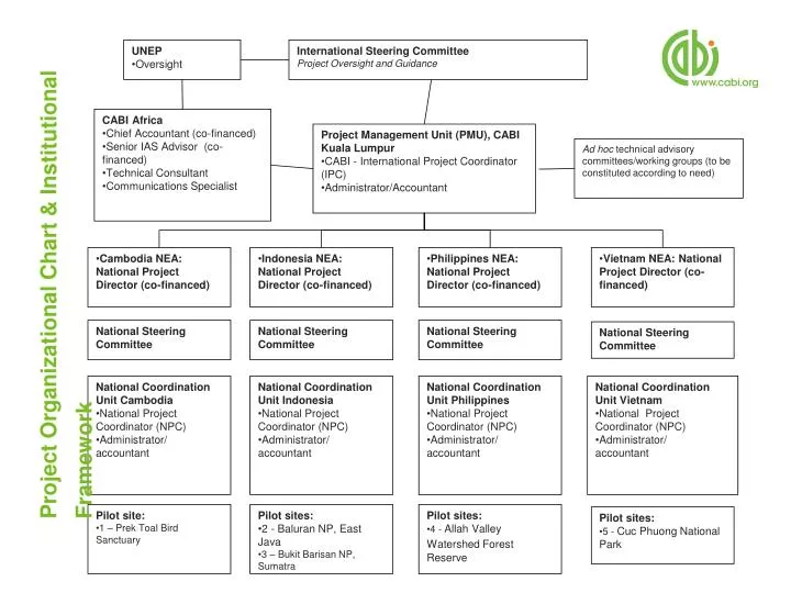 project organizational chart institutional framework