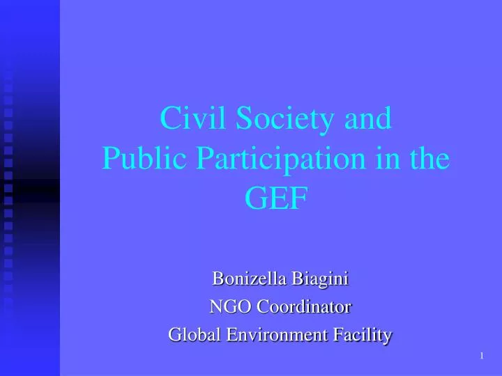 civil society and public participation in the gef