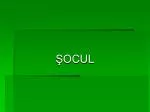 ŞOCUL - slide 1