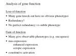 Analysis of gene function Loss-of-function Many gene knock-out have no obvious phenotypes - slide 1