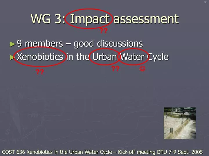 wg 3 impact assessment