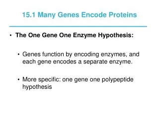 15.1 Many Genes Encode Proteins
