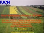 Dorota Metera IUCN Programme Office for Central Europe - slide 1