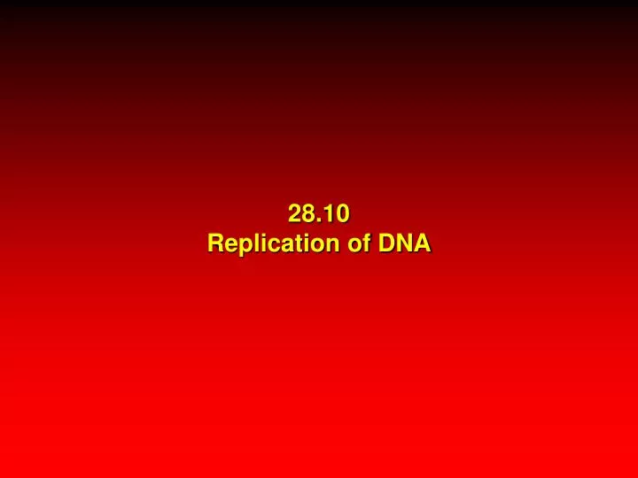 28 10 replication of dna