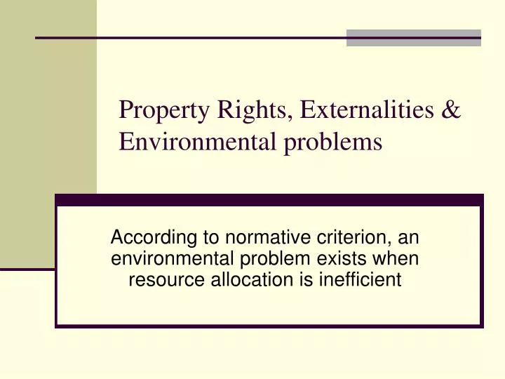 property rights externalities environmental problems