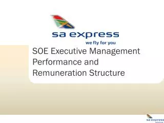 SOE Executive Management Performance and Remuneration Structure