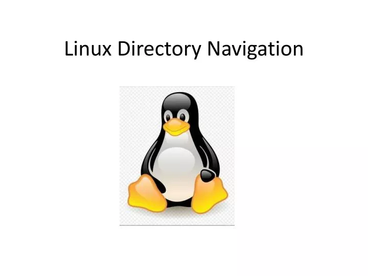 linux directory navigation