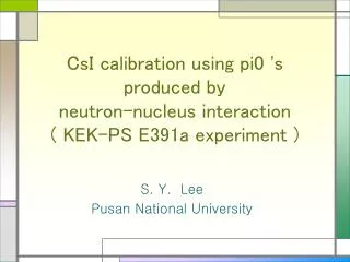 CsI calibration using pi0 's produced by neutron-nucleus interaction ( KEK-PS E391a experiment )