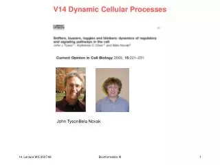 V14 Dynamic Cellular Processes