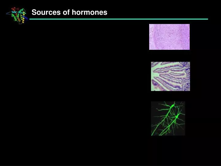 sources of hormones