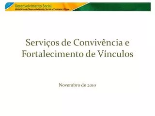 Serviços de Convivência e Fortalecimento de Vínculos Novembro de 2010
