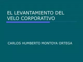 EL LEVANTAMIENTO DEL VELO CORPORATIVO