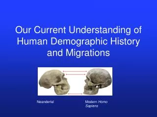 Our Current Understanding of Human Demographic History and Migrations