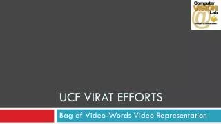 UCF VIRAT Efforts