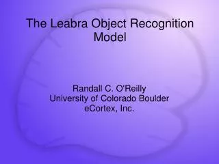 The Leabra Object Recognition Model