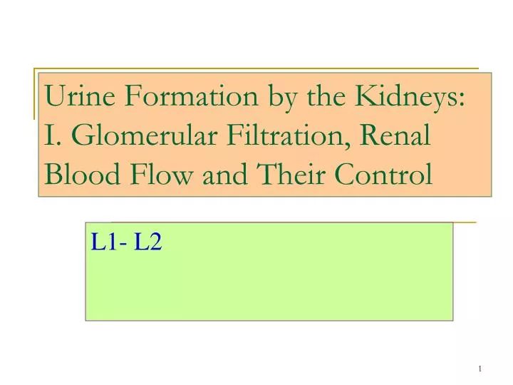 urine formation by the kidneys i glomerular filtration renal blood flow and their control